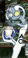 Nr.303